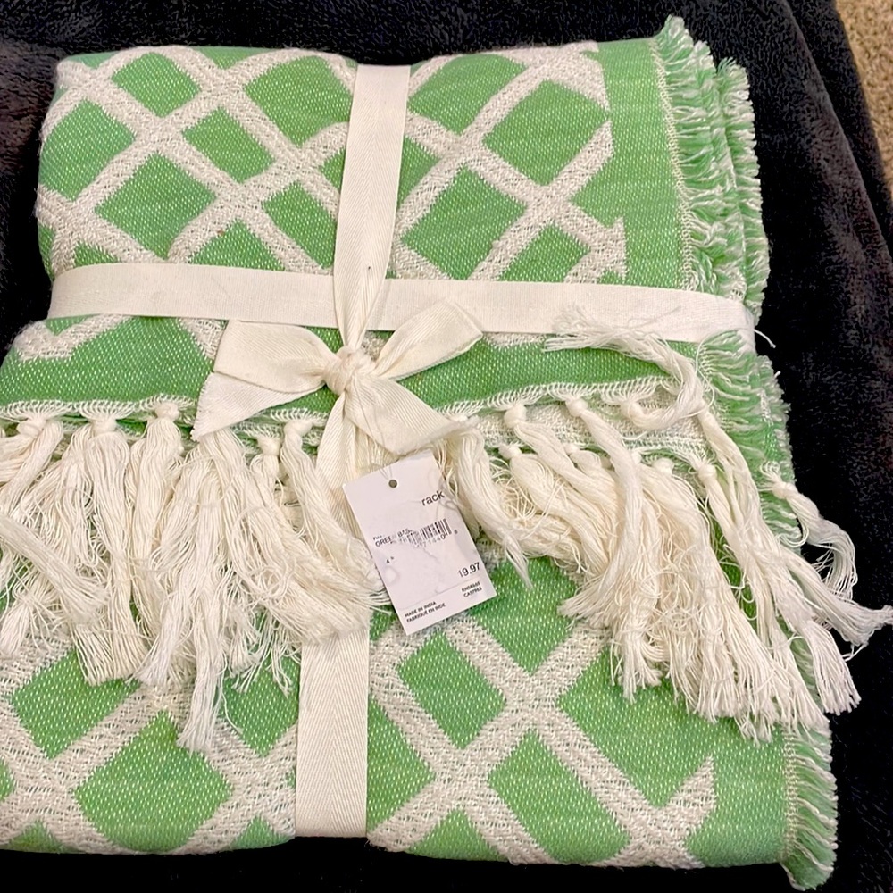 Light Green Sheer Light Weight Throw NWT from Nordstrom